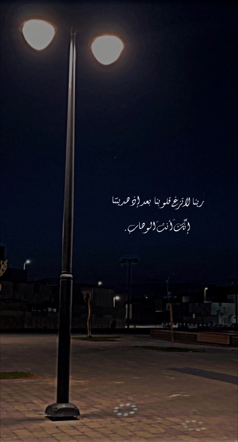 محمد الشنقيطي