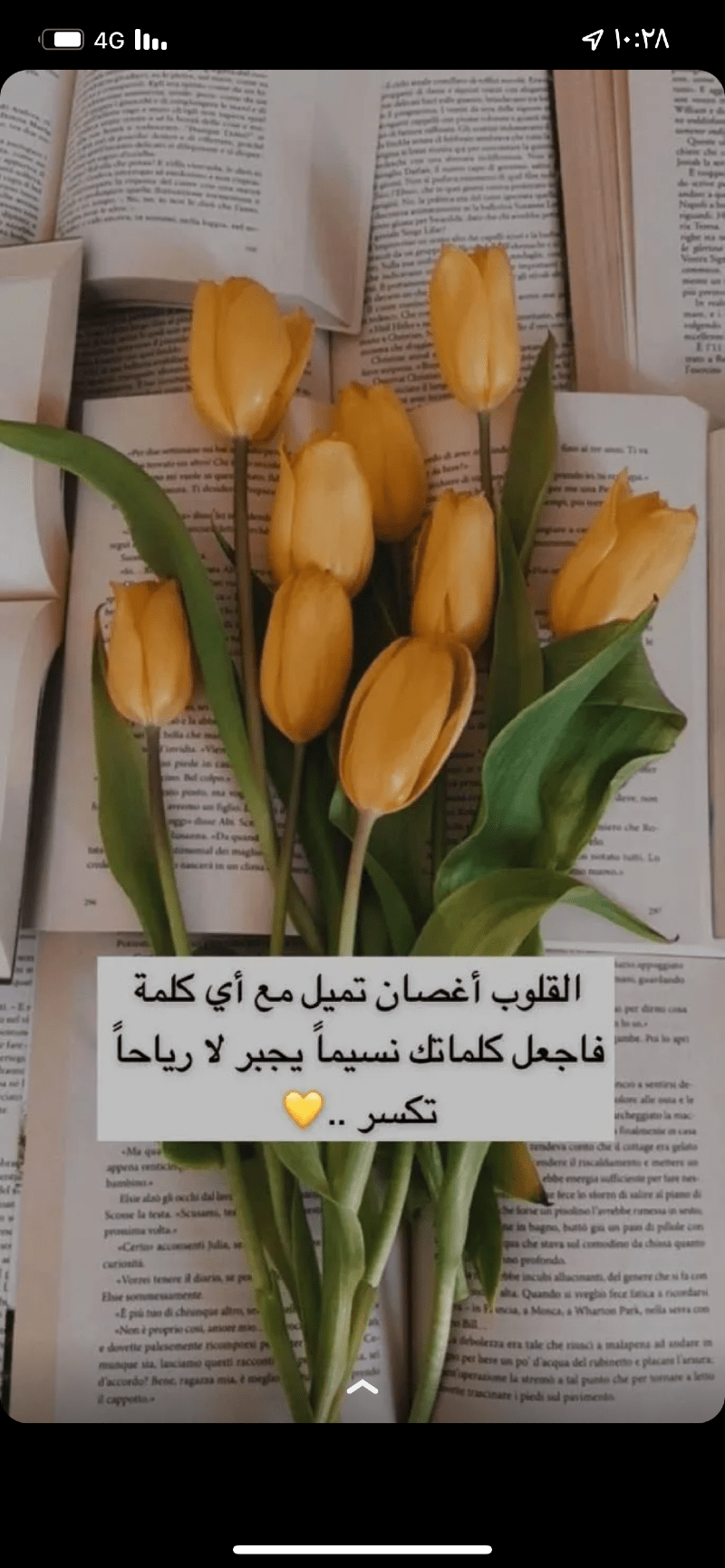 مهره الزهراني