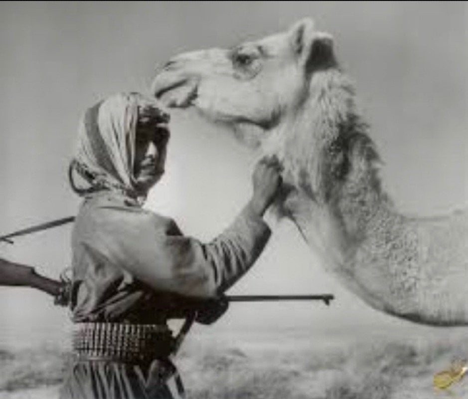 سعيد العامري
