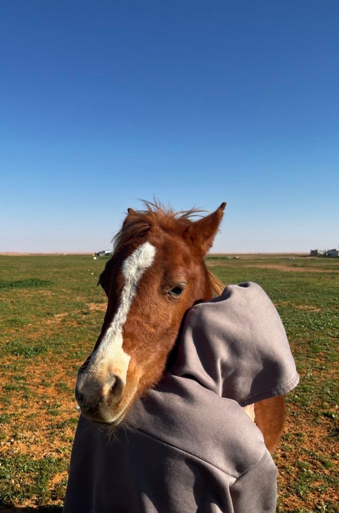 حلا محمد