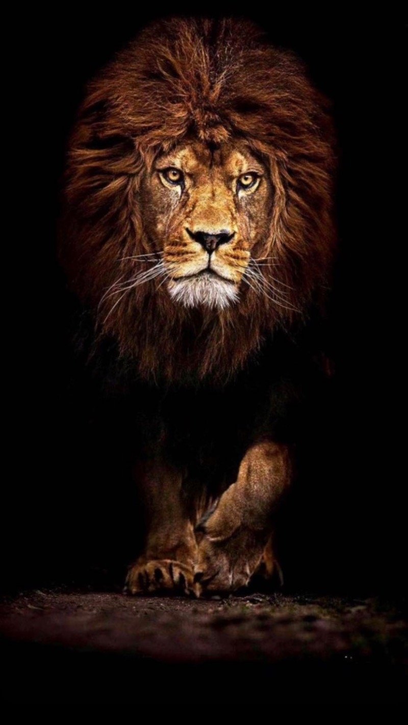 علي عميش شولان