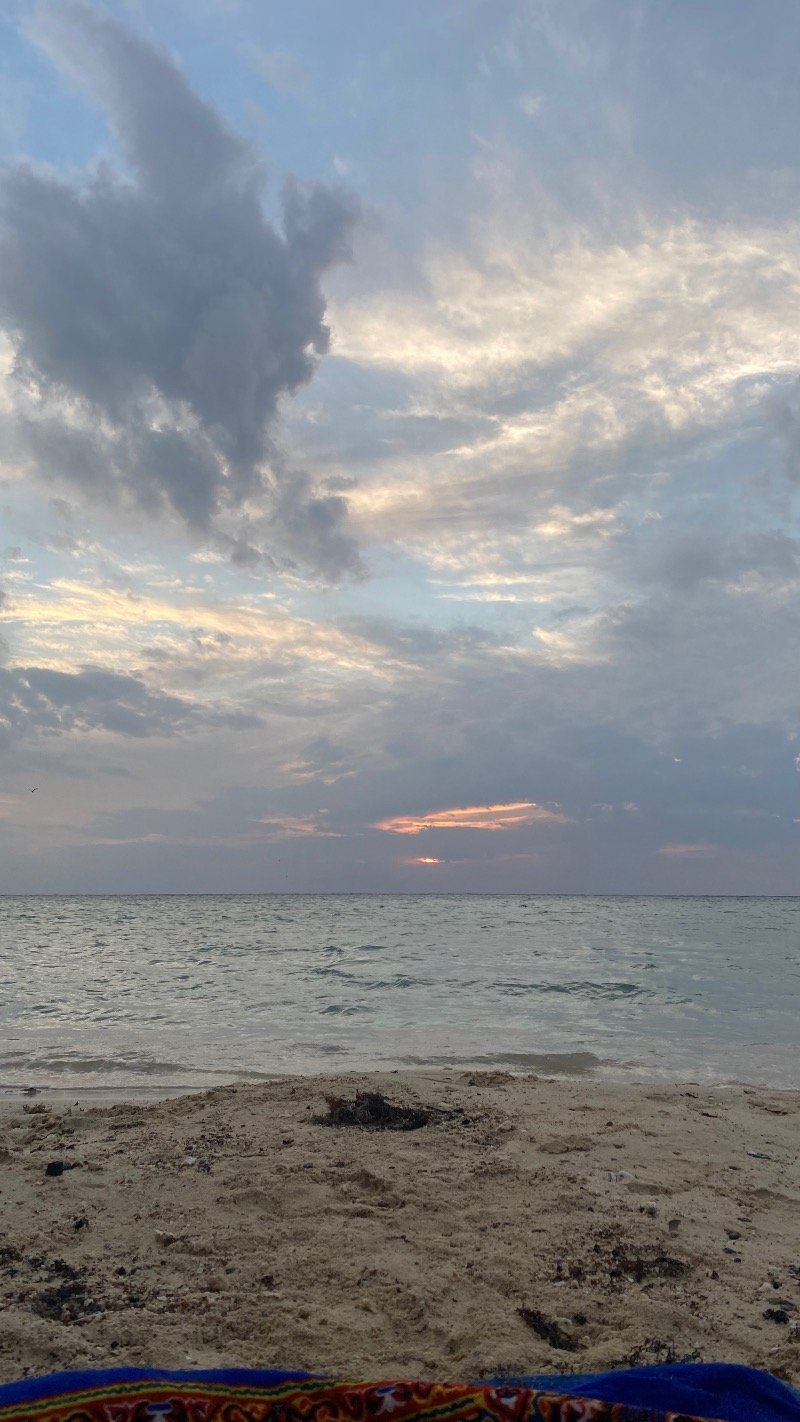 احمد السليماني