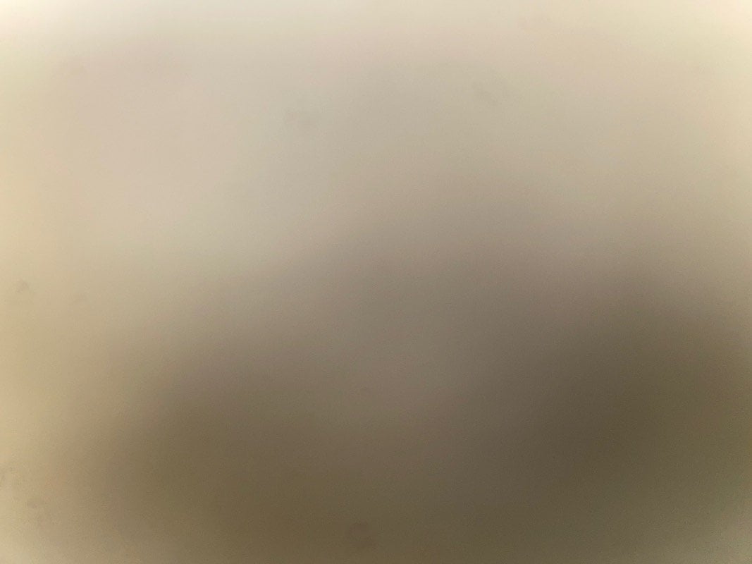 مهنا المهنا الحربي