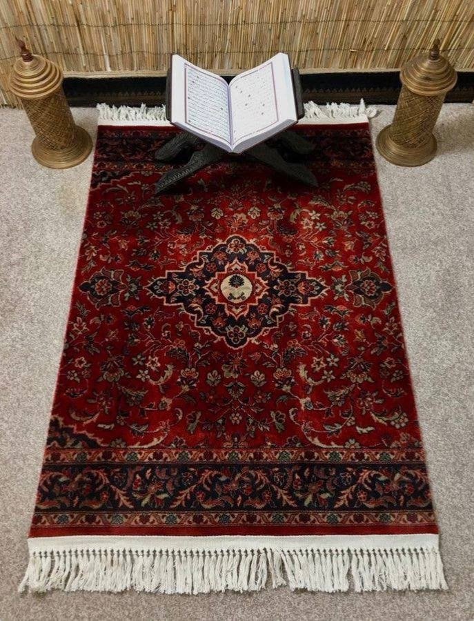 نوف طلق البصري