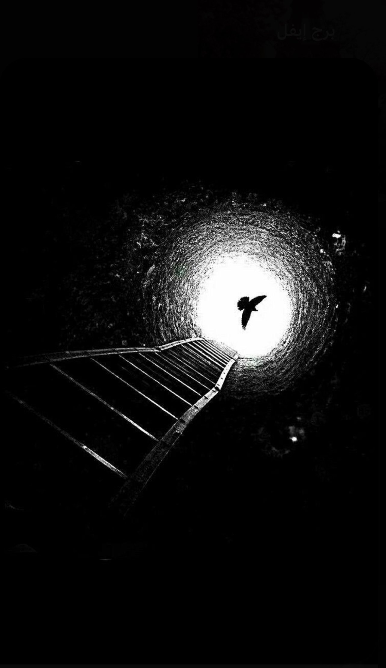 عبدالله العبدلي