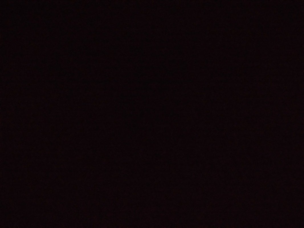 أفنان النجدي