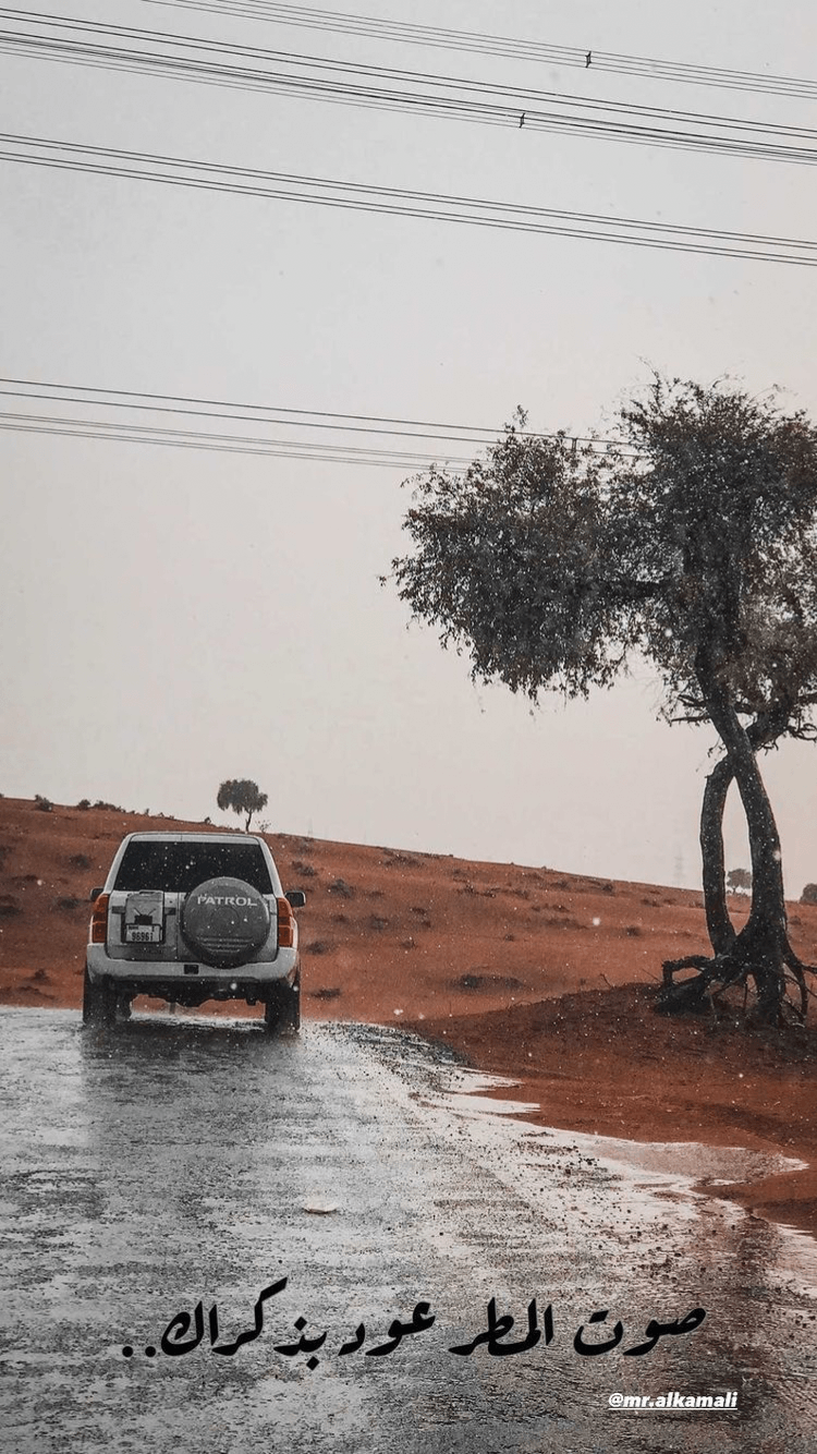 يوسف العجيب