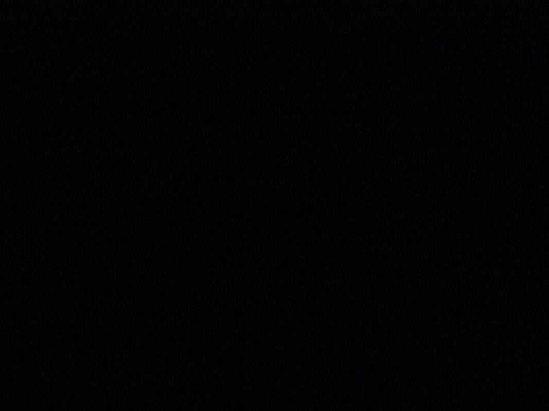 طلال الشمري