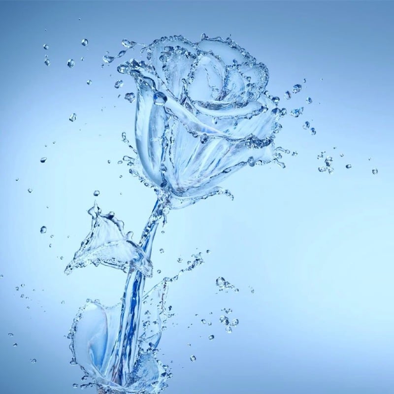 إيمان عبدالرحمن