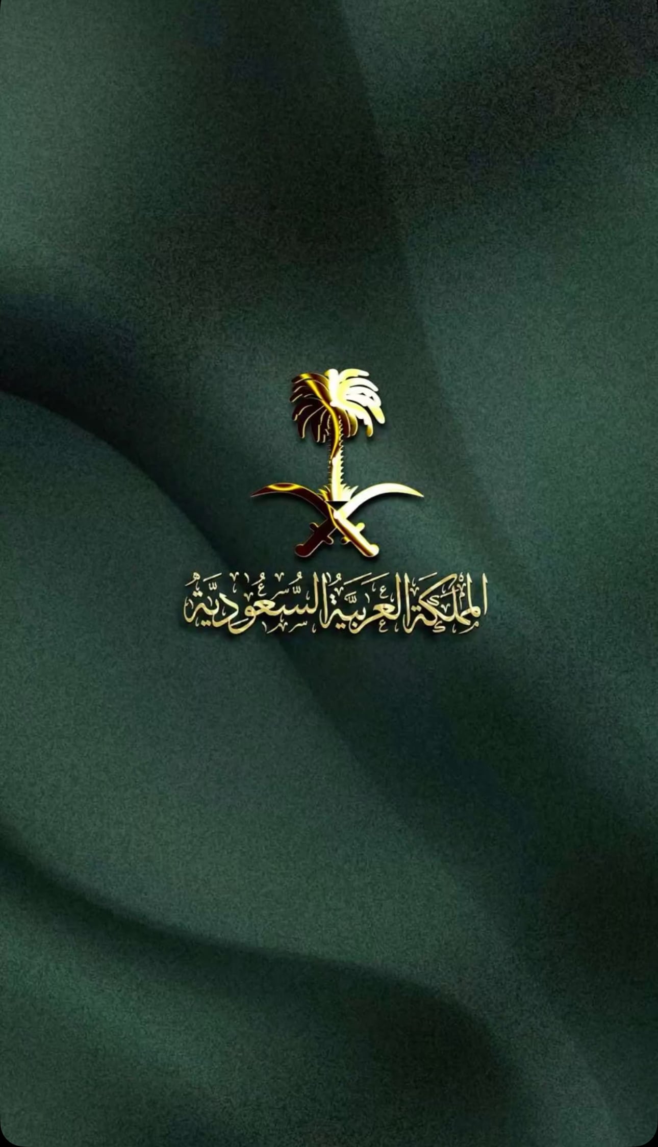 ALI ALQAHTANI