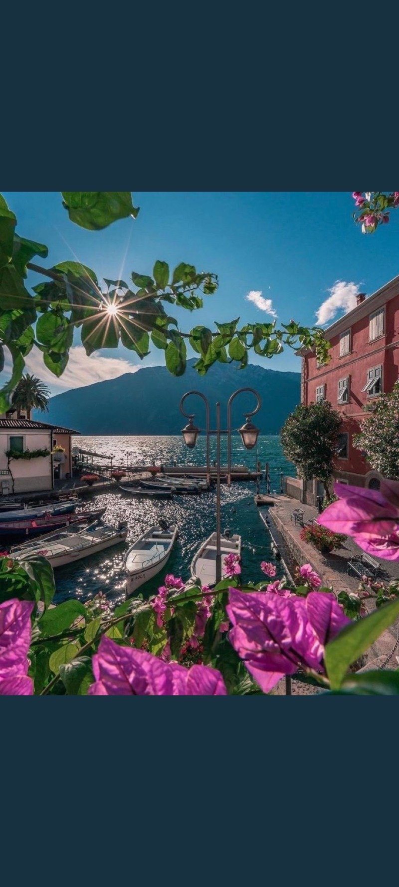 مساعد الجريد