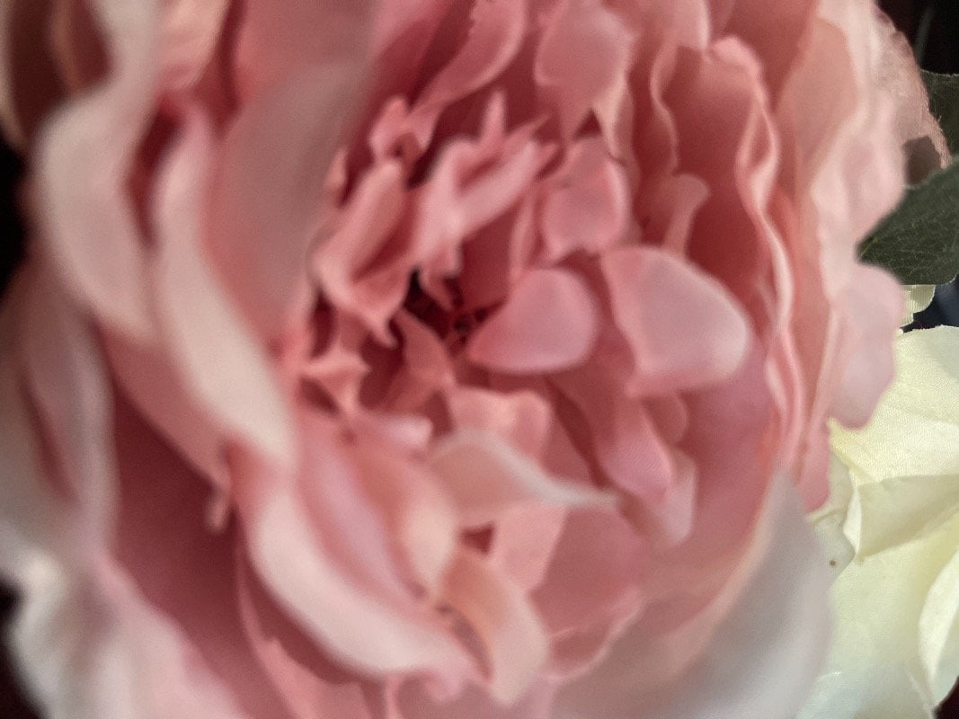 نورا العبدالله