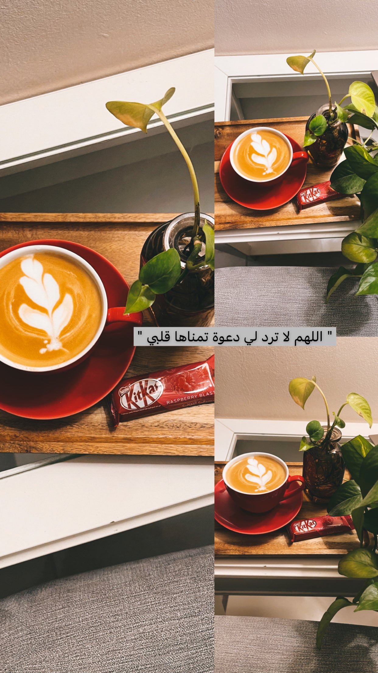 نسيم سالم سالم