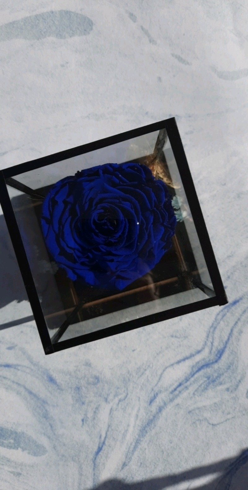 علياء الزوري