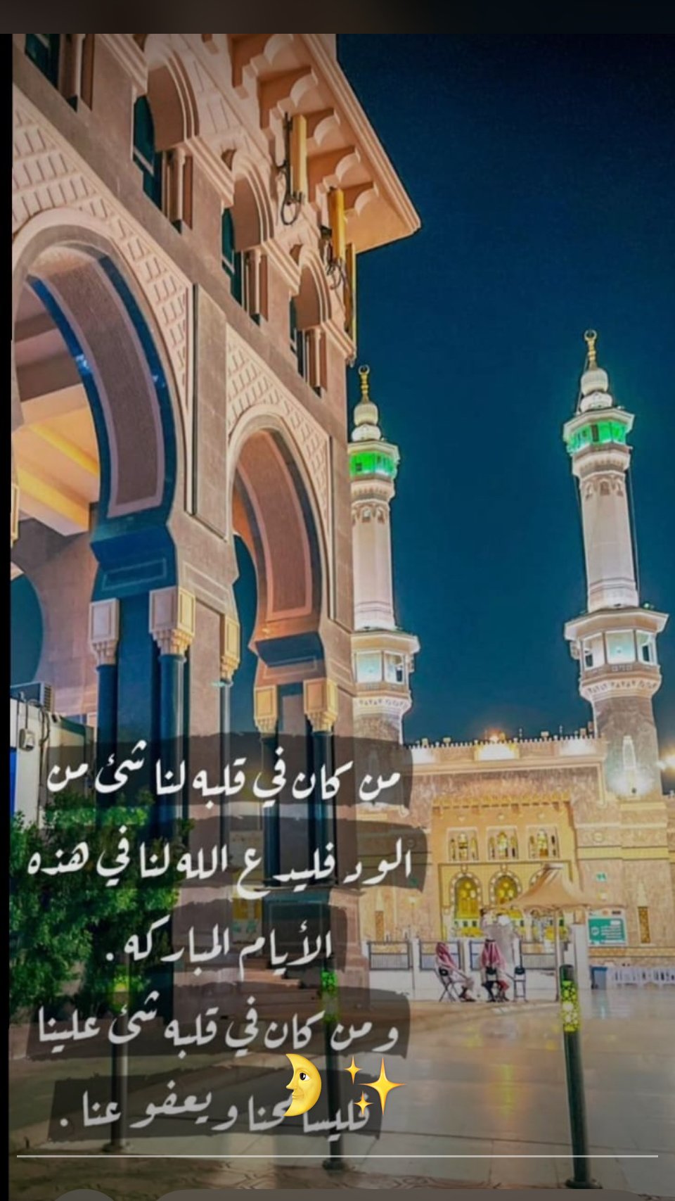 دلال عبدالعزيز الزويد