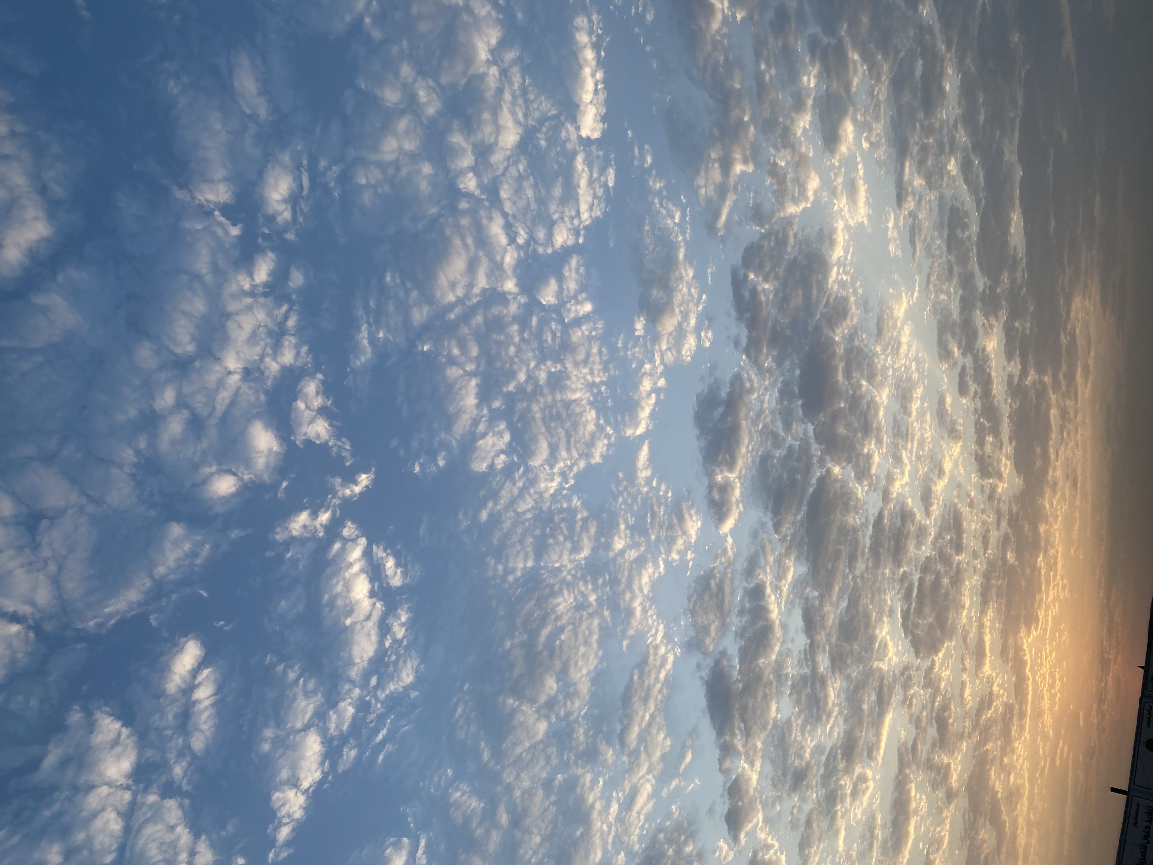 عبدالرحمن فلمبان