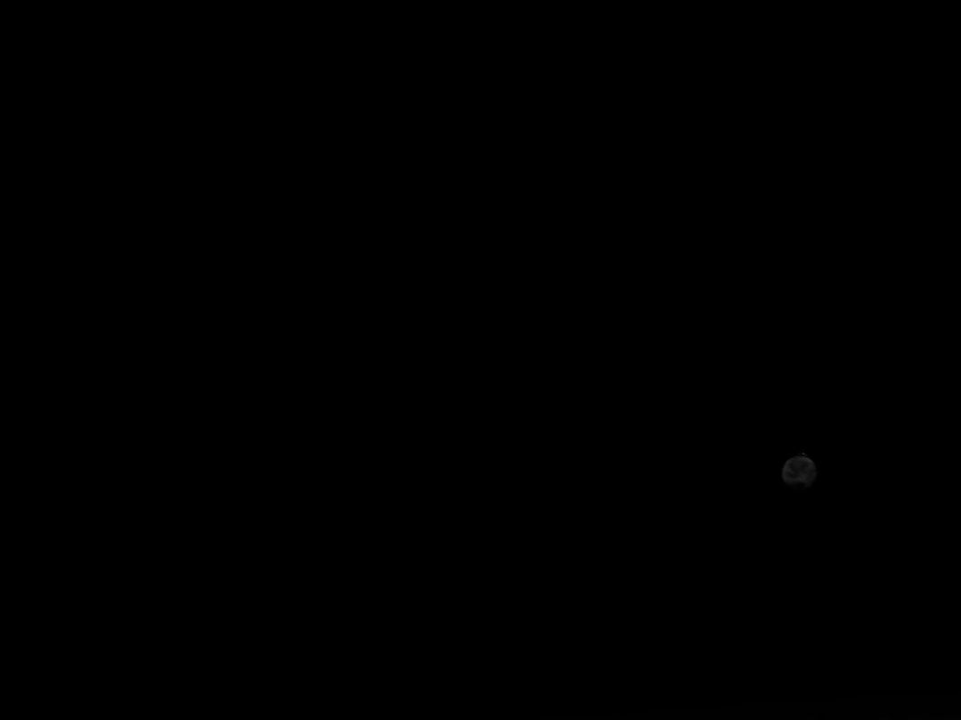 صالحة الهلالي