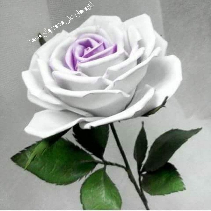 فاطمه 