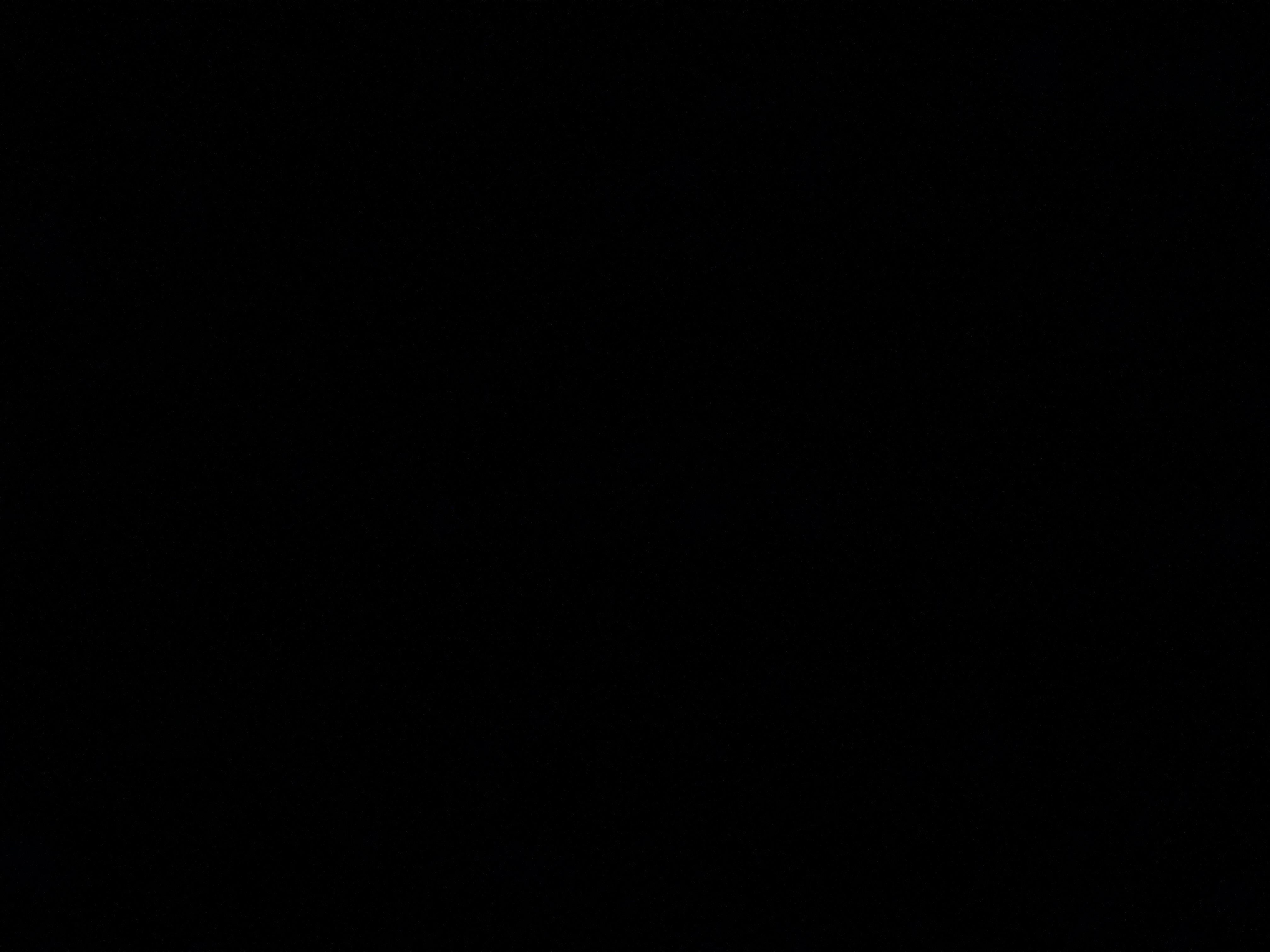 فاطمه الشهري