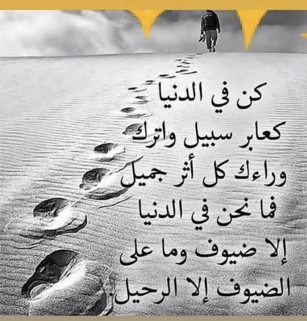 بدران الهاشمي