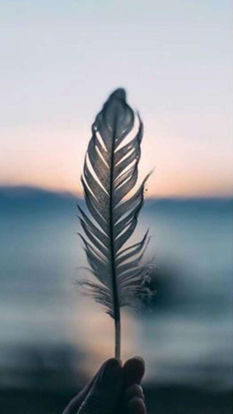 عبدالله الحربي