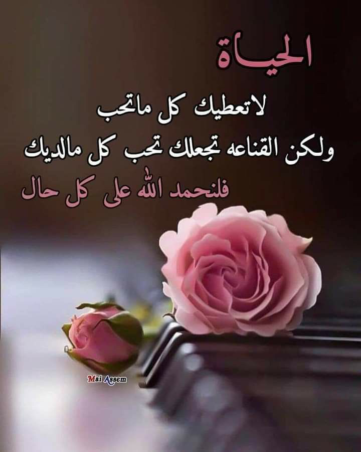 حسن ال عاطف