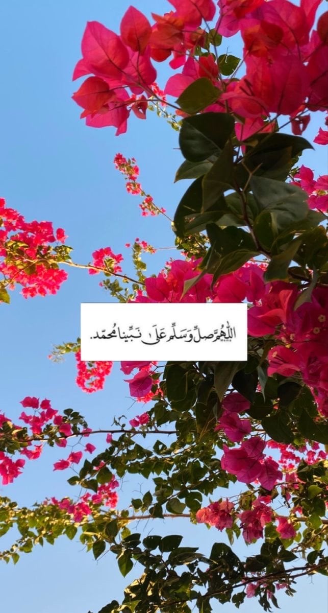 صافية عسيري