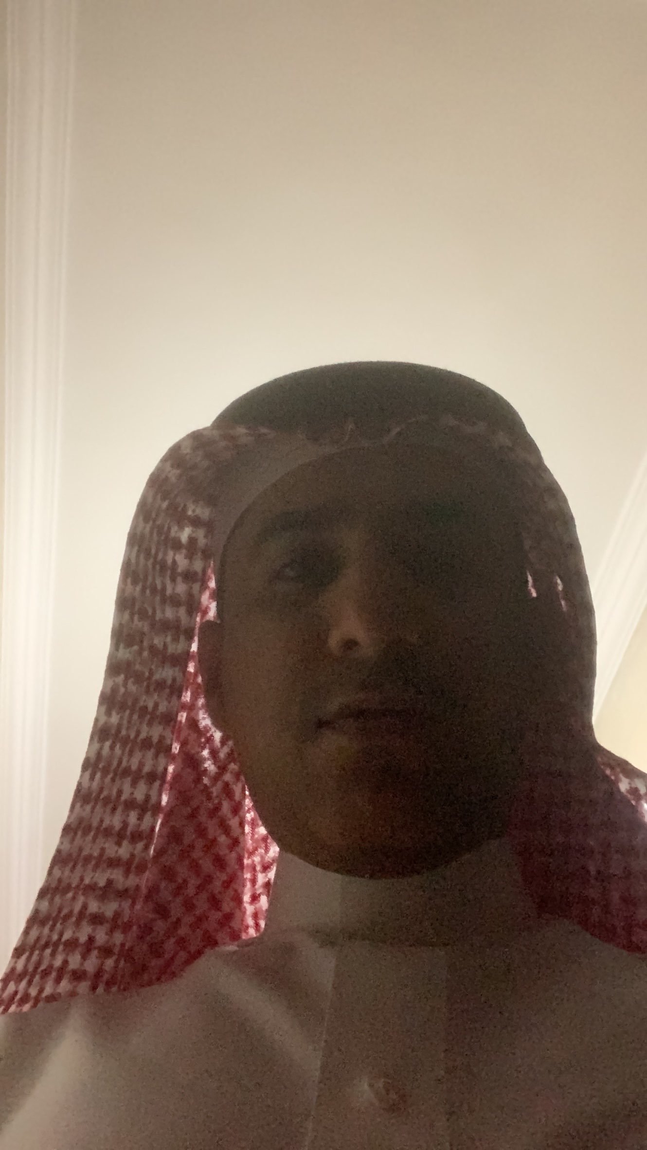 محمد الحملي