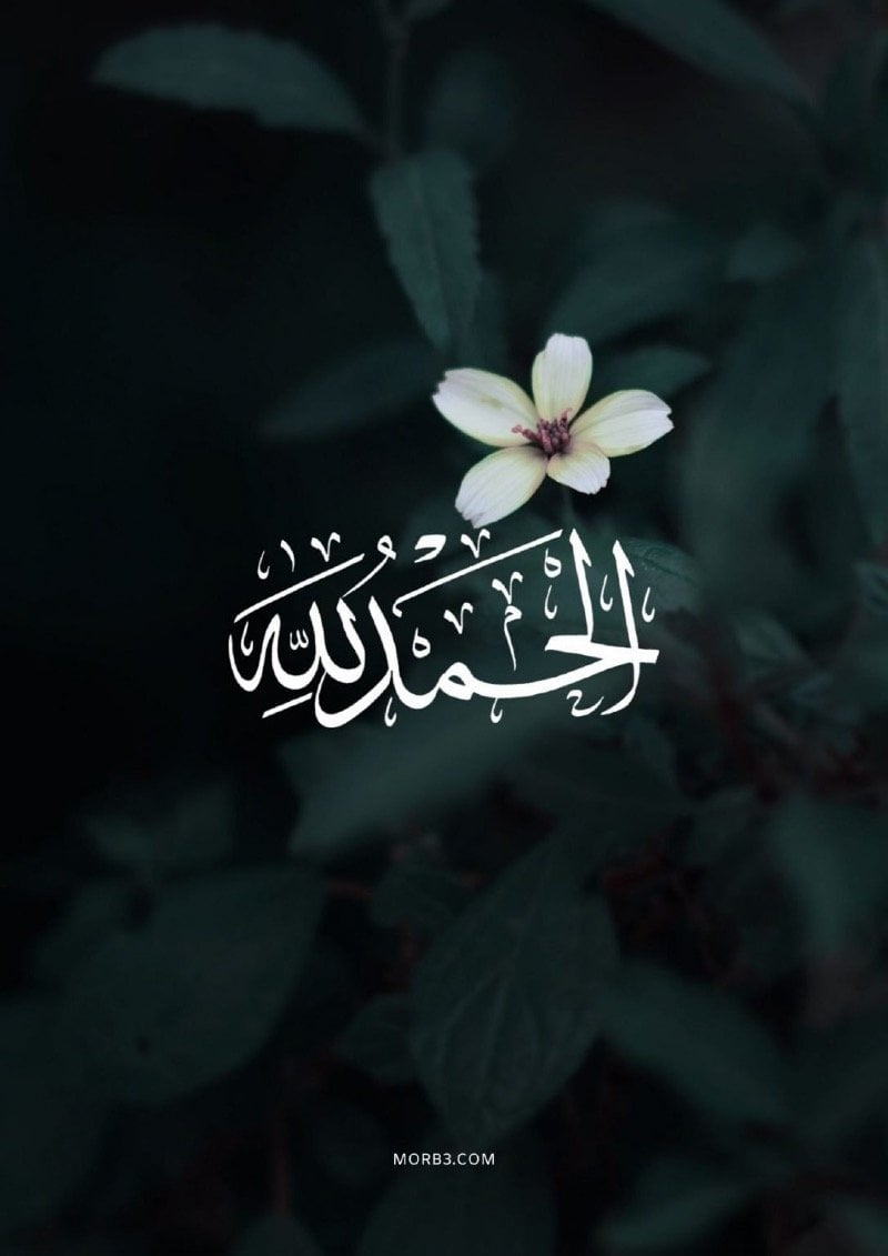 Abo abo nawaf 11