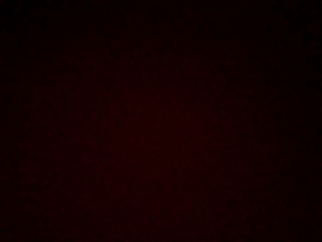 ليلئ الغامدي