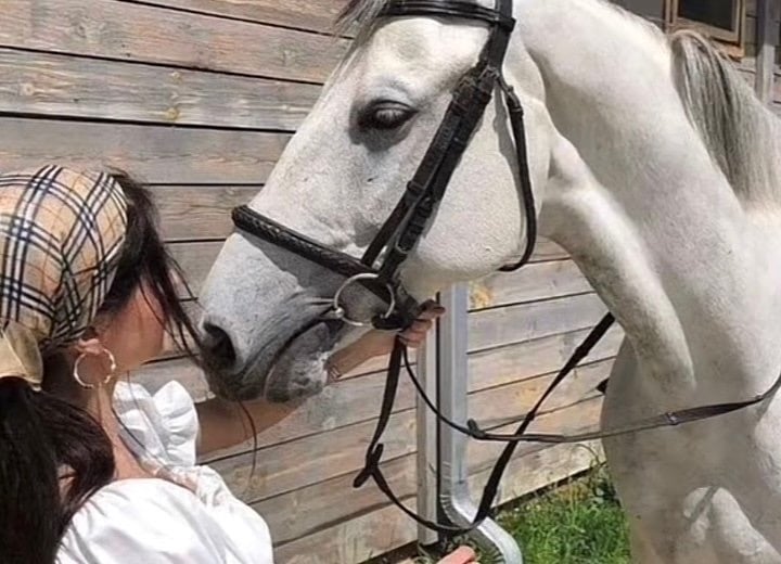 محمد الفهادي