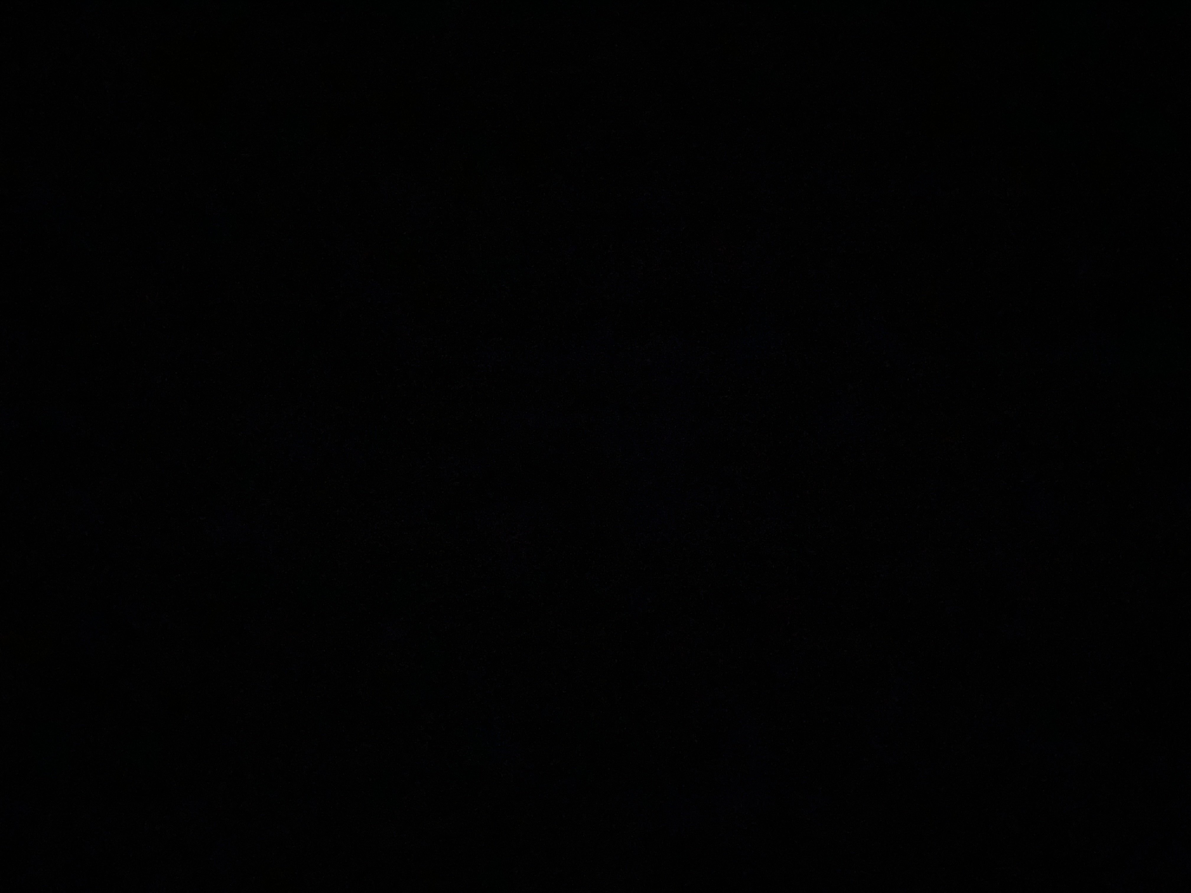 جوري الزبيدي