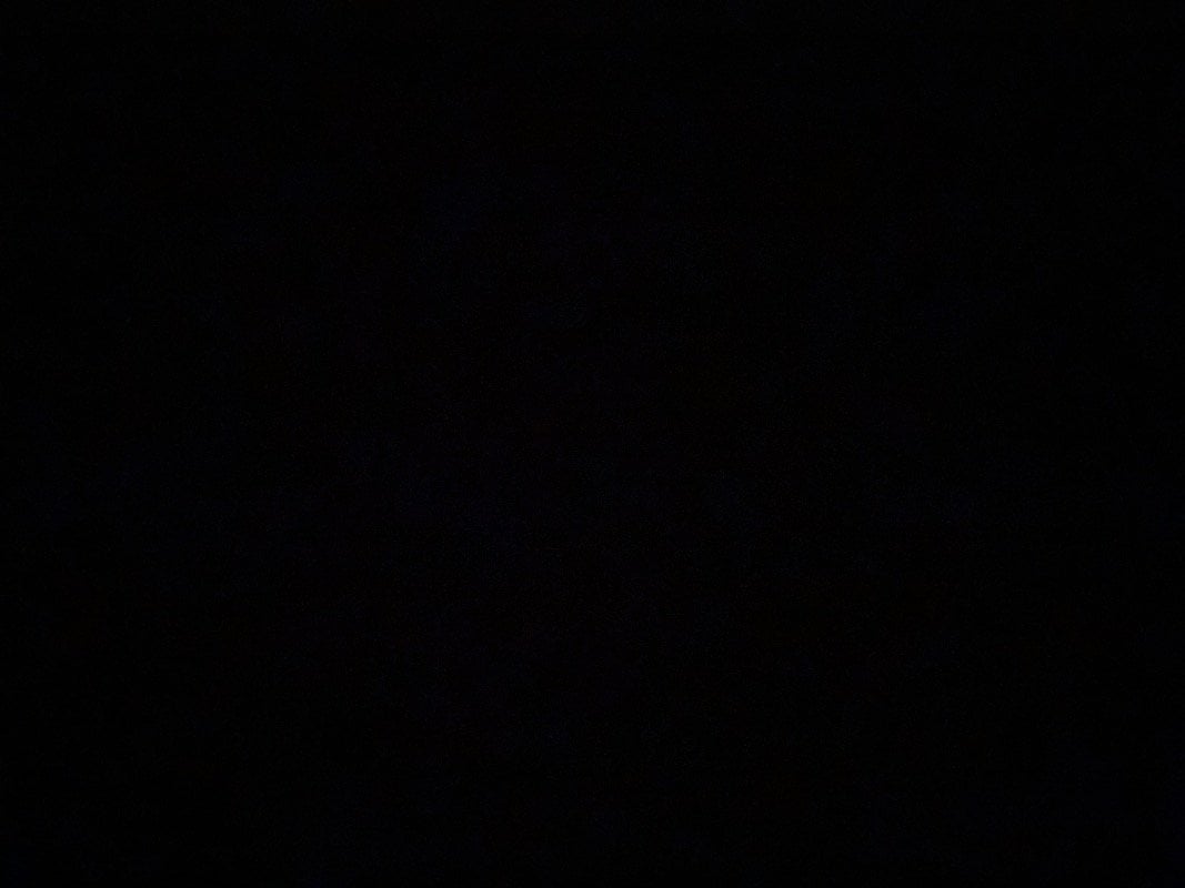 اميره الشقيقي