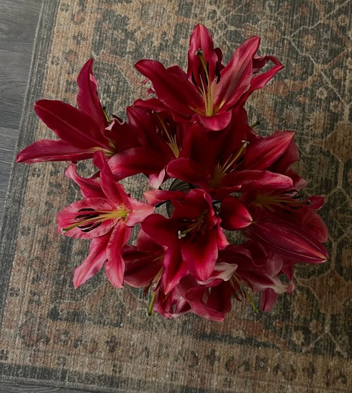 ريما السبيعي