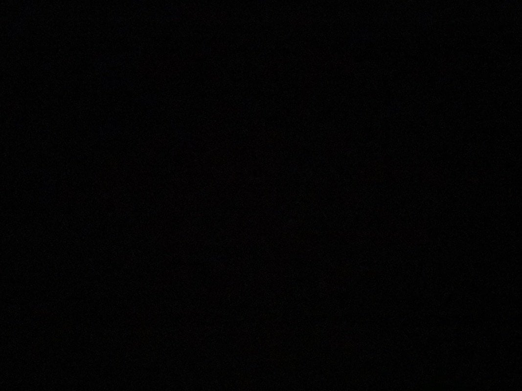 ريناد المزيني