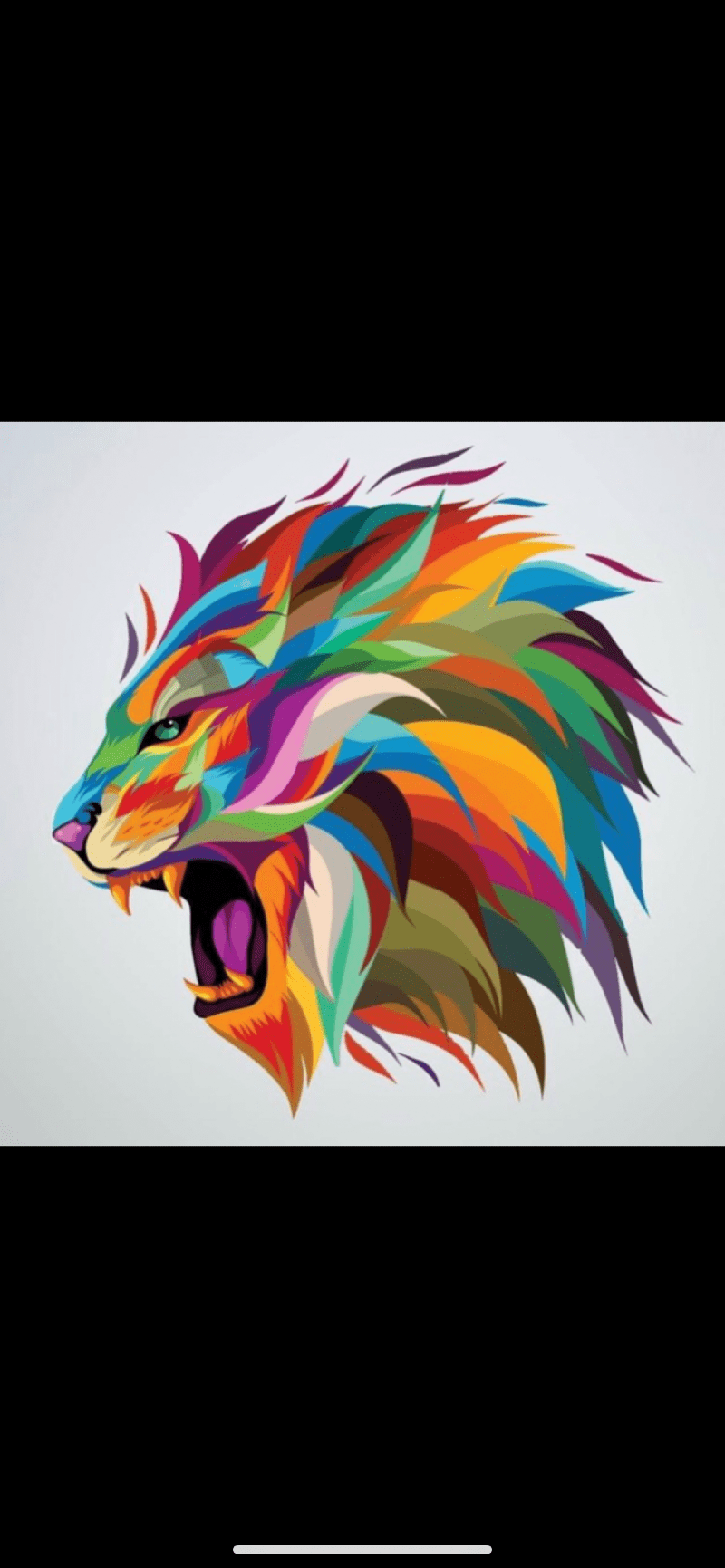 ماهر الرشيدي