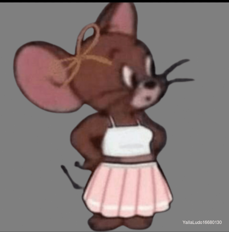 صالح السلمي