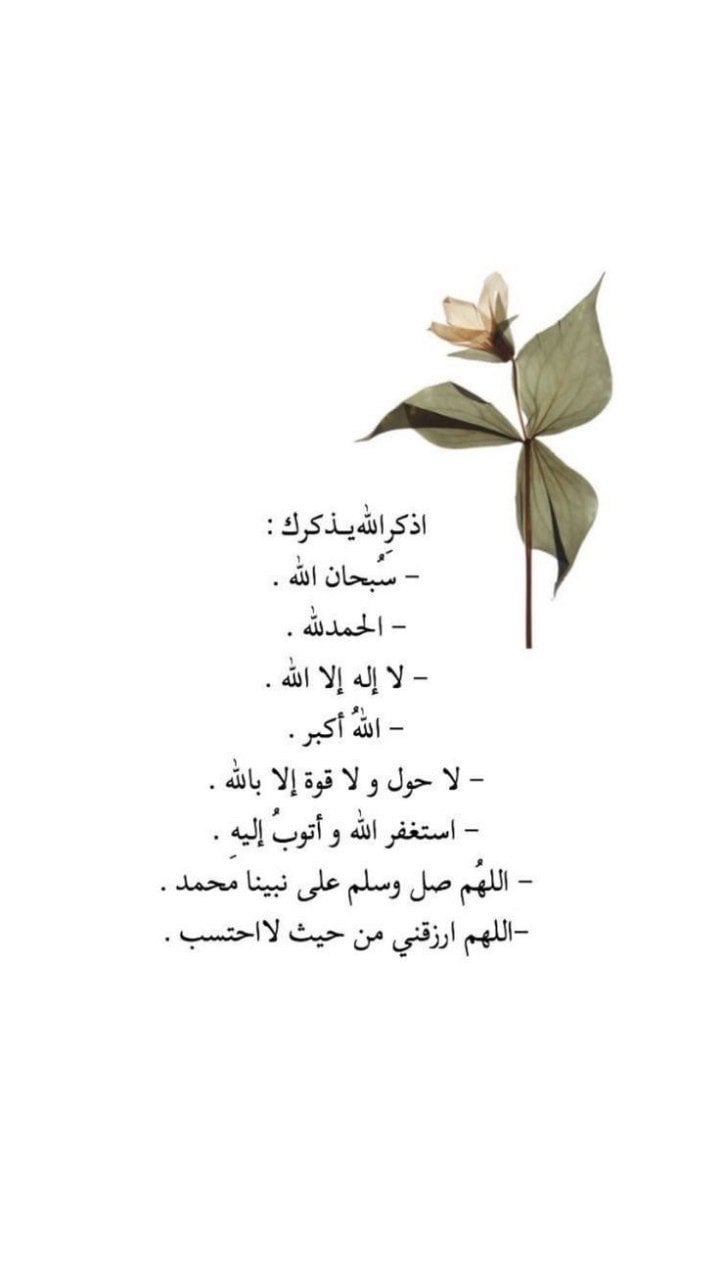 فاطمة زيلعي