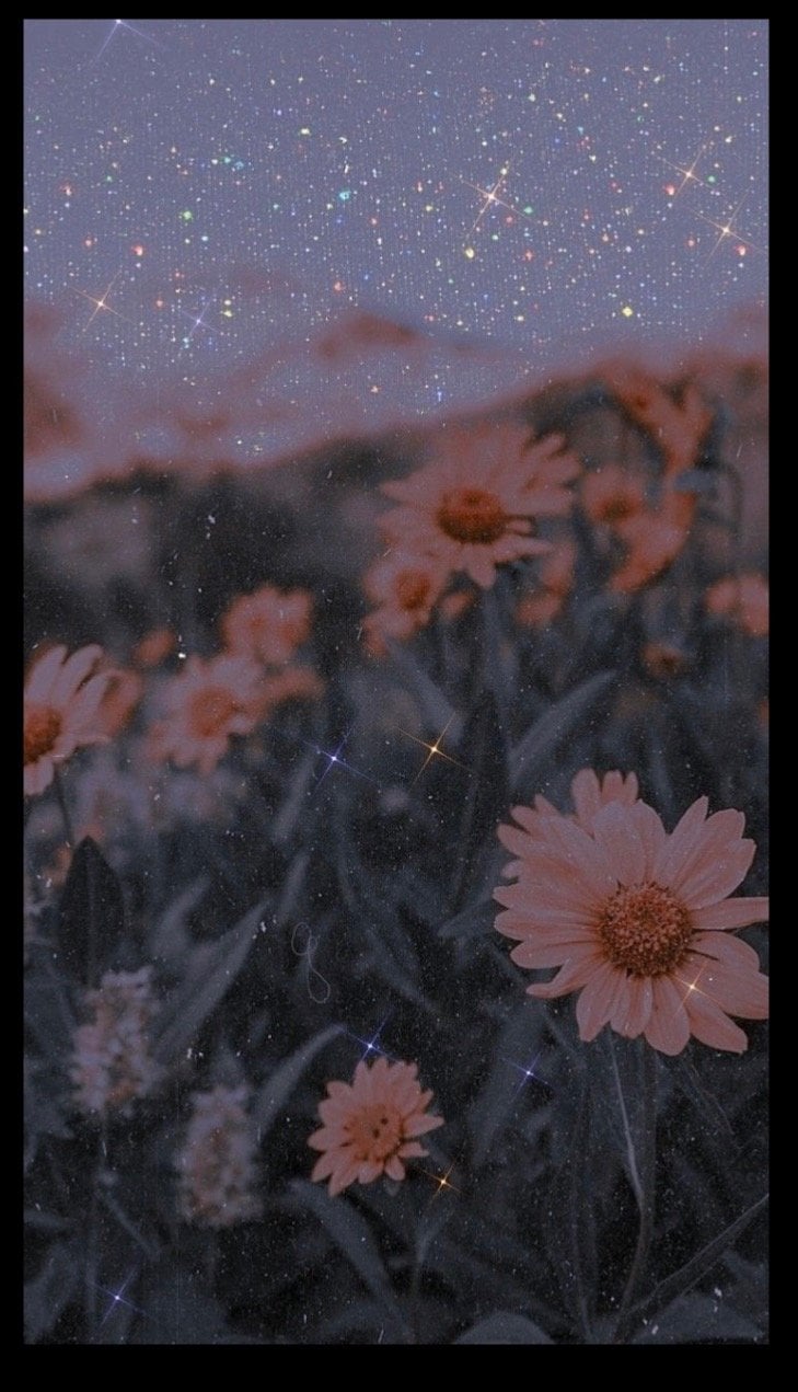 إيناس الغامدي