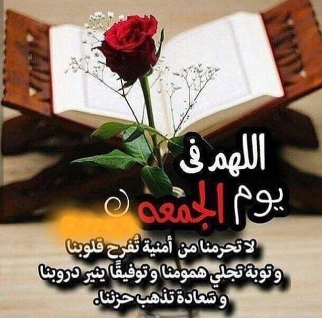 ام بدر عبدالرحمن