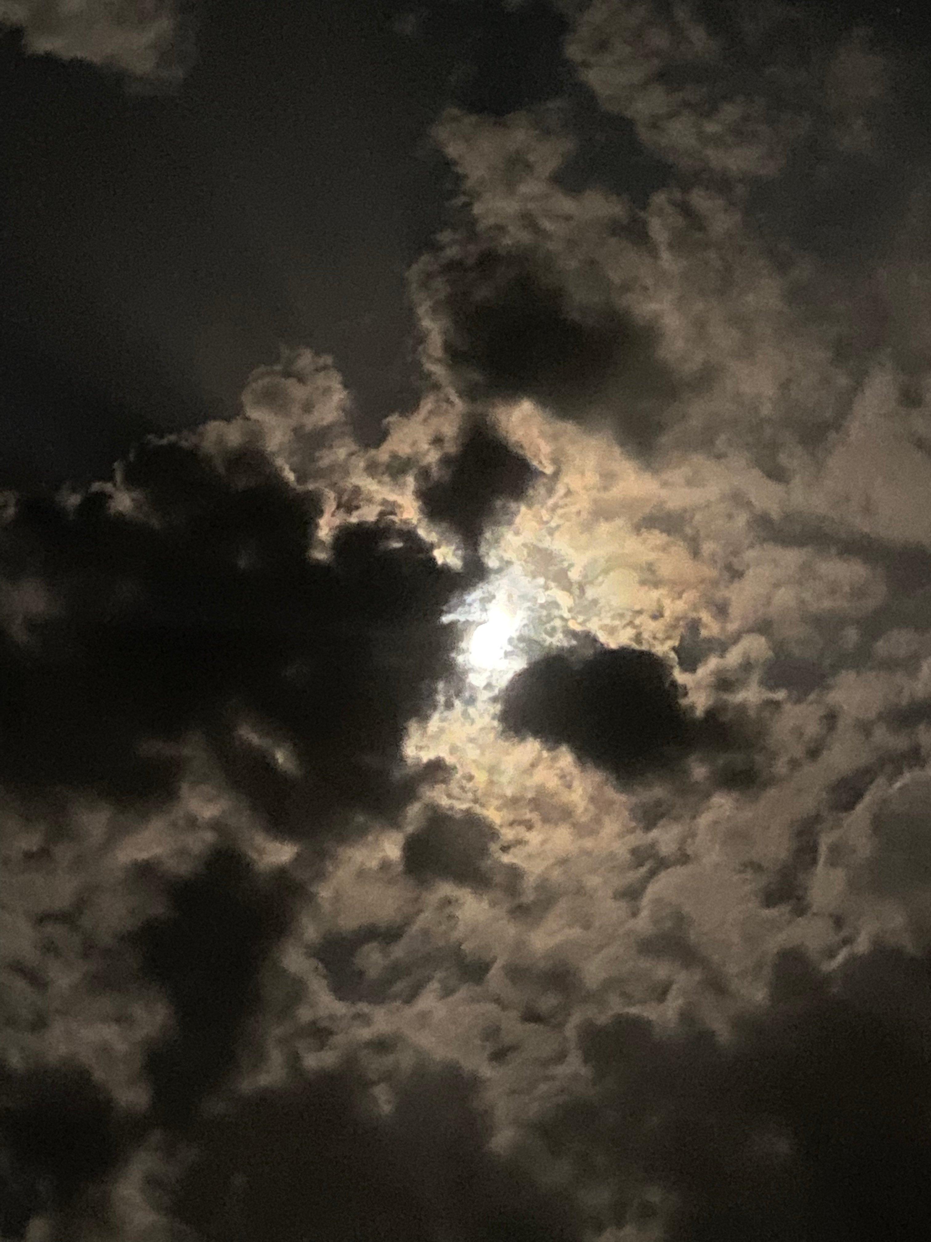 ارياف الحربي