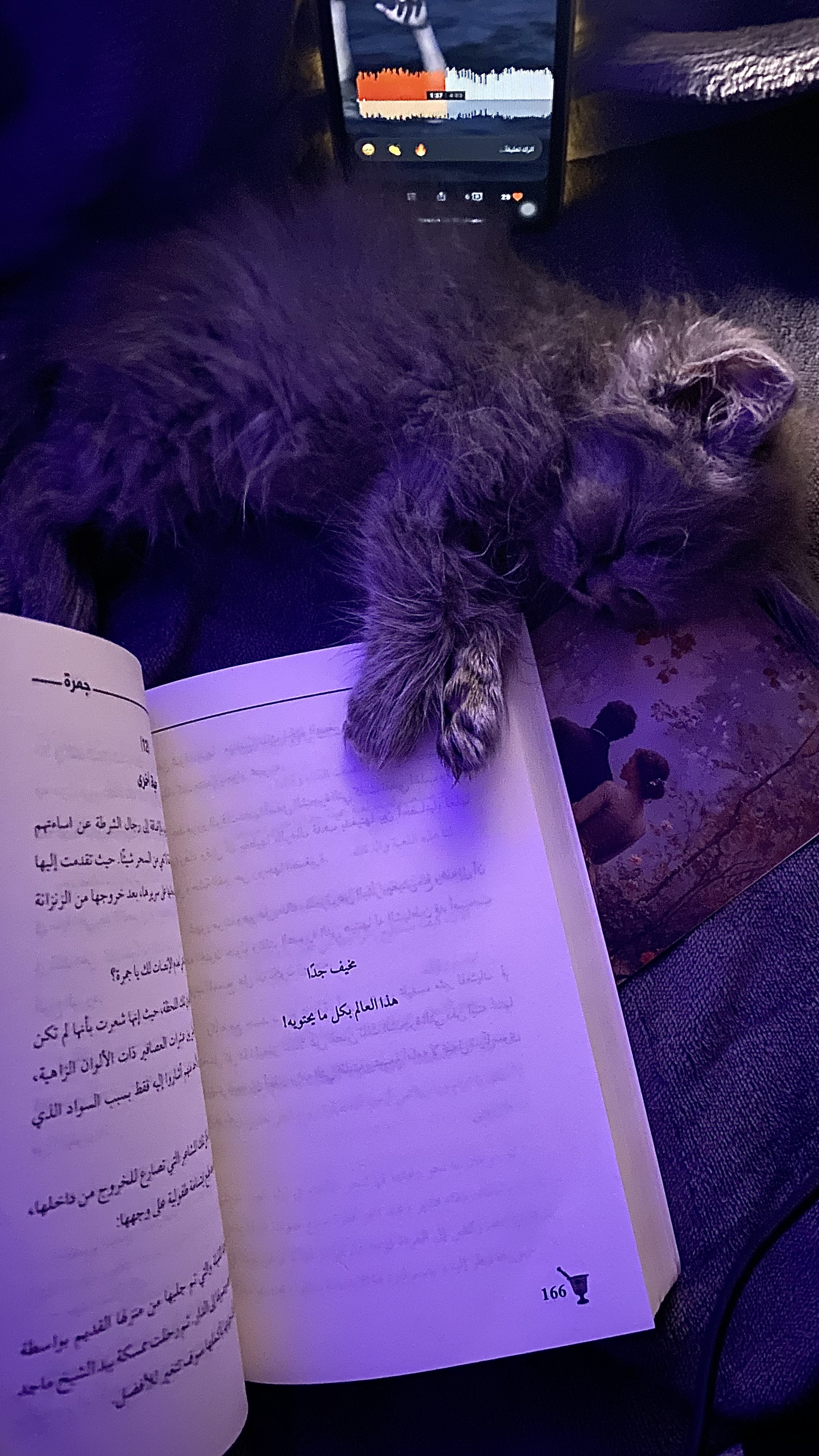 Remas Al-zahrani