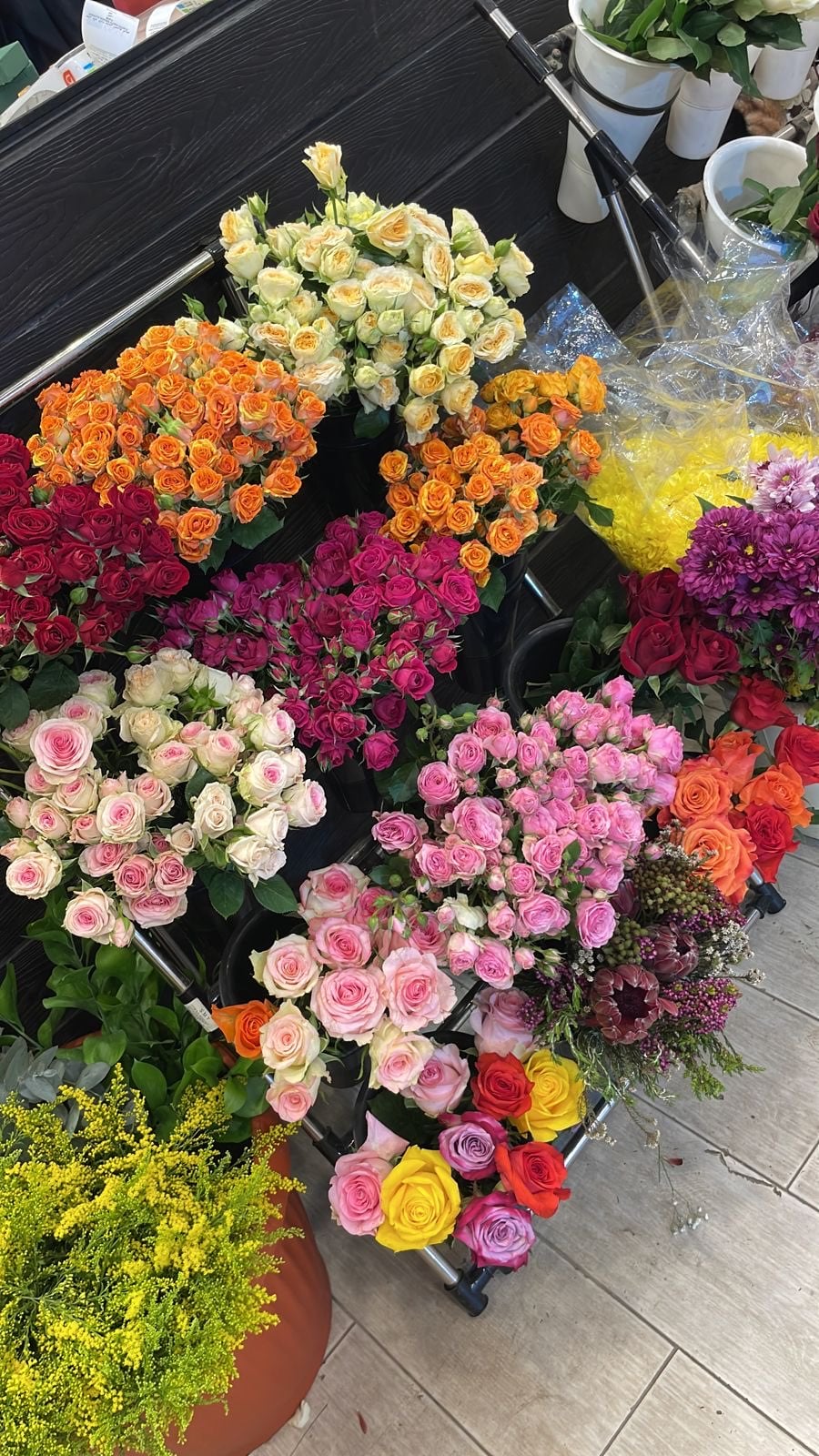 امنه الفقيه