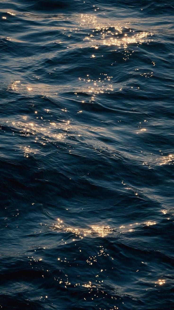 فهد الاحمري