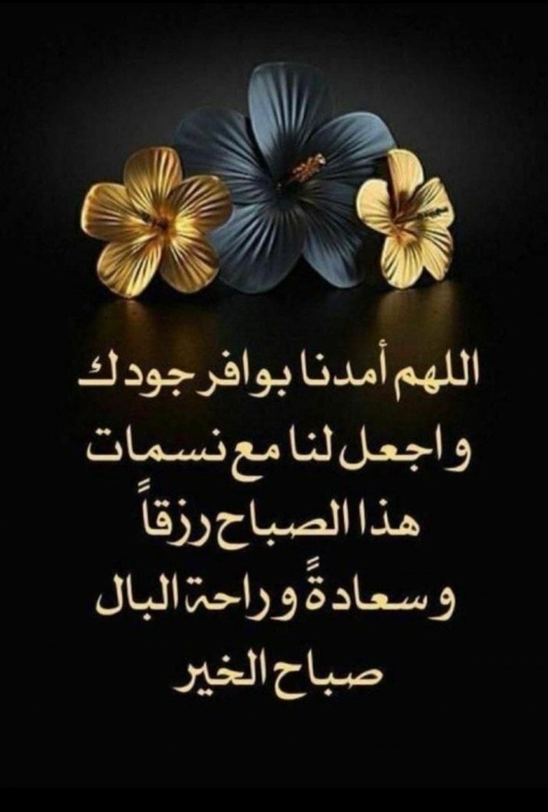 فوزي المطيري