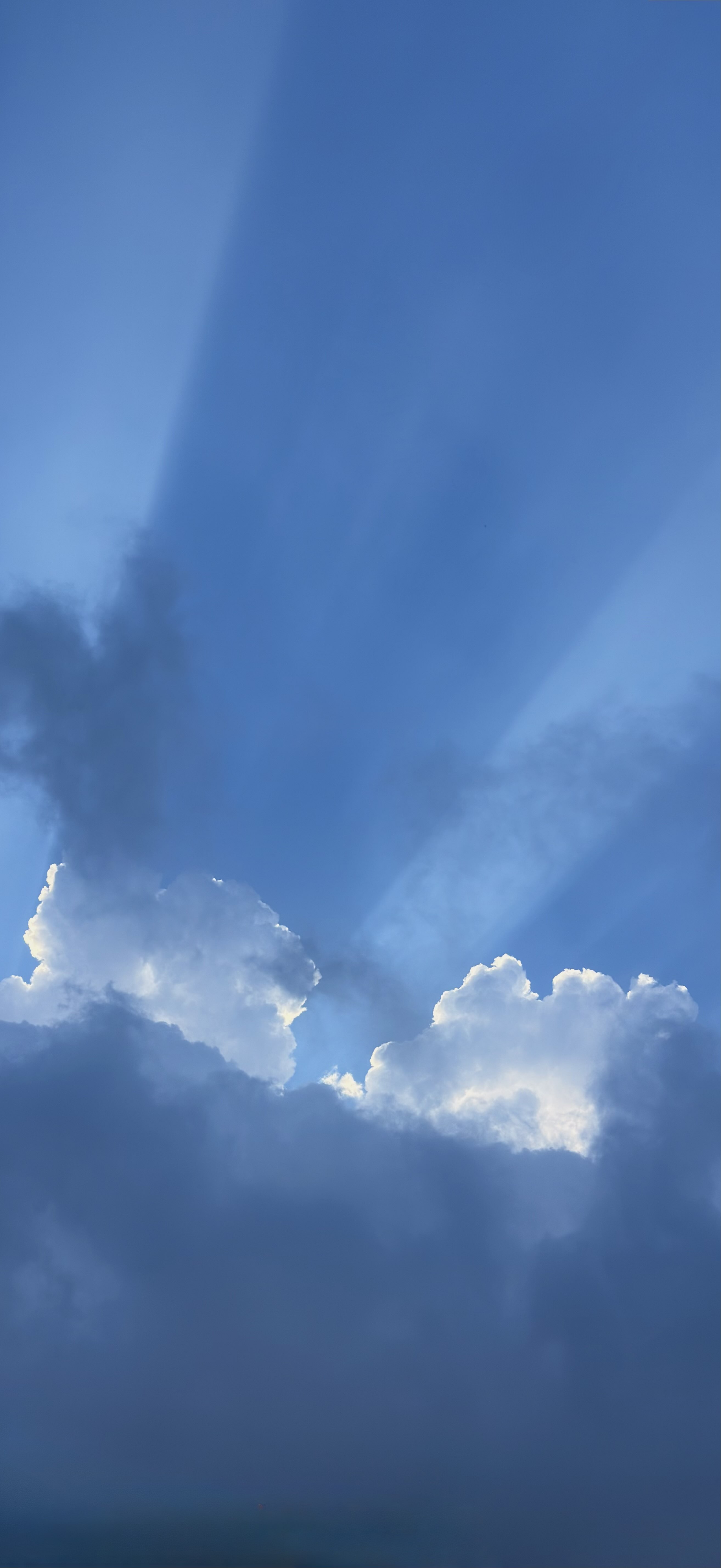 لمى الزهراني