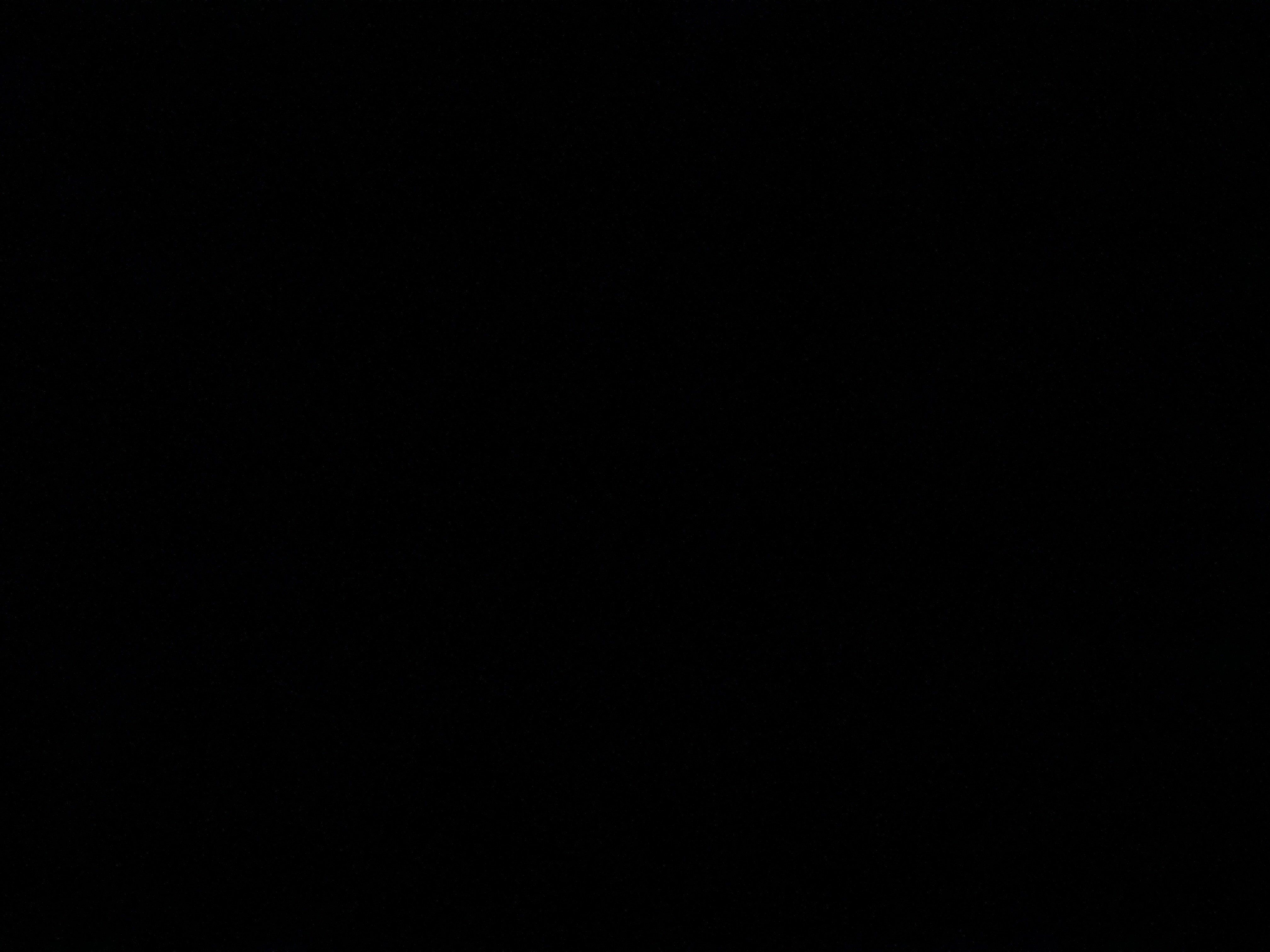 عبدالرحمن الحسن