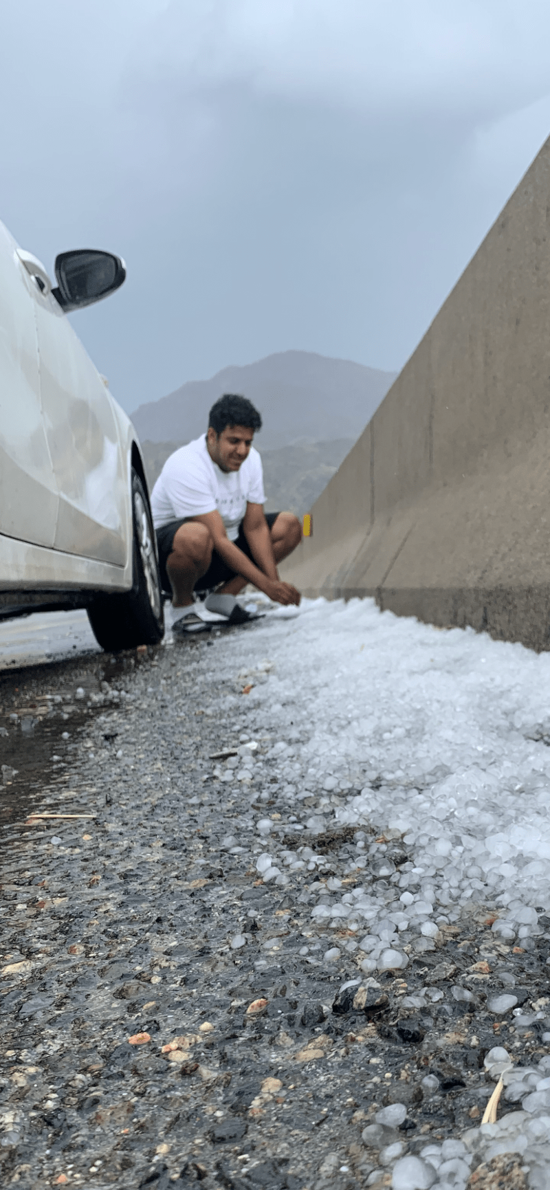 تركي الحارثي