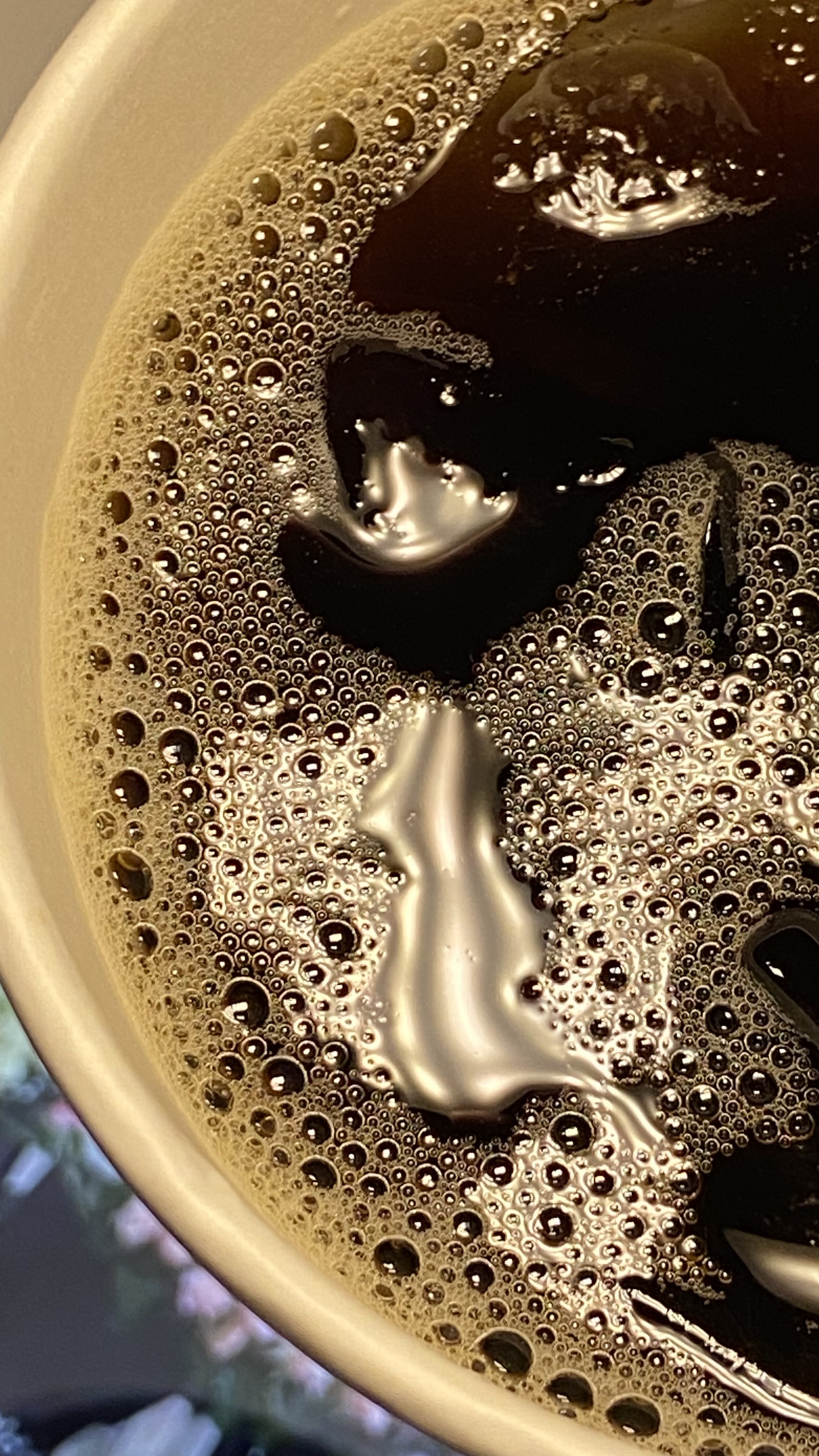 شهد الرشيدي