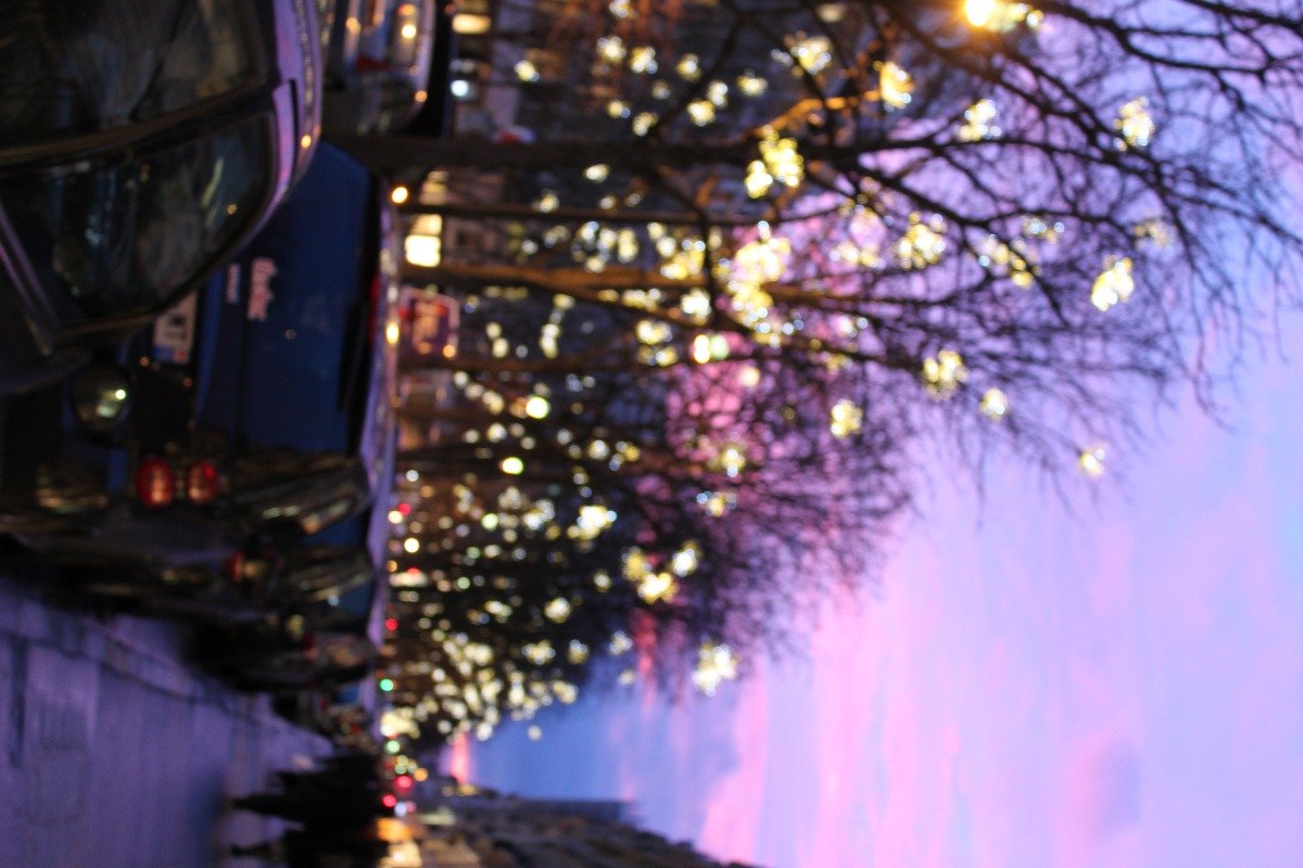 رياض العريفي